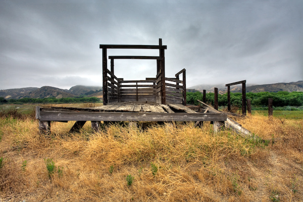 Cattle Chute